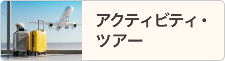 アクティビティ・ツアー